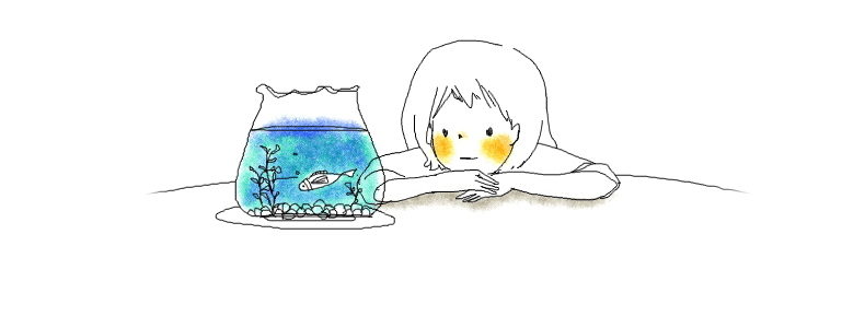 ふわふわ。り