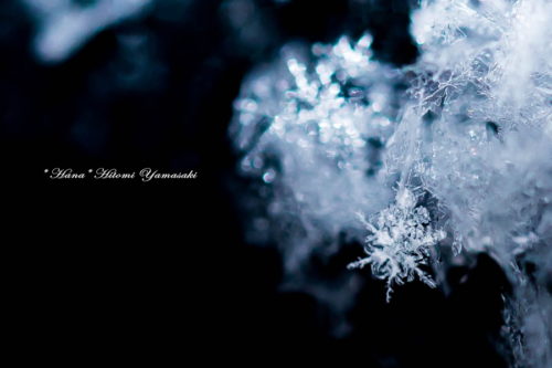 雪の結晶 写真